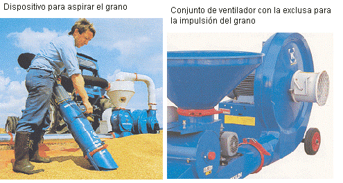 transp-grano5