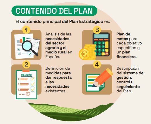 Contenido del Plan