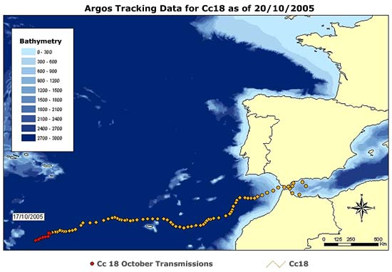 Mapa de seguimiento por satélite de una de las 25 tortugas marcadas