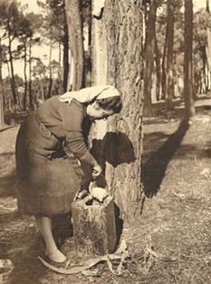 Remasadora. Las Navas del Marques. (Ávila). 1951. Autor: Juan Cruzado Ranz