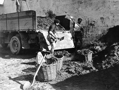 Olivo, almazara de la cooperativa del campo de Arjona (Jaén).
Autor: Eufrasio Martínez Valero. 1959