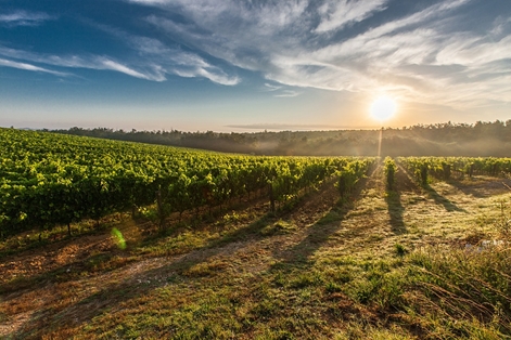 IMPORTANTE AVANCE EN LA DIGITALIZACIÓN DEL SECTOR AGRARIO  