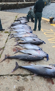 En el marco de la lucha contra la pesca ilegal  