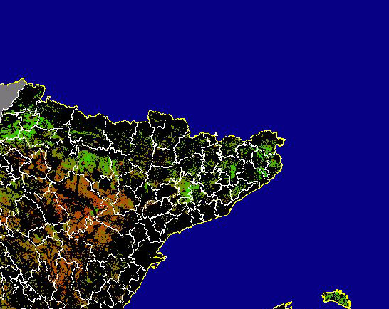 Imagen de NDVI medio secano: Índices de vegetación medios del mes para las zonas de cultivos de secano y pastizales - Noreste