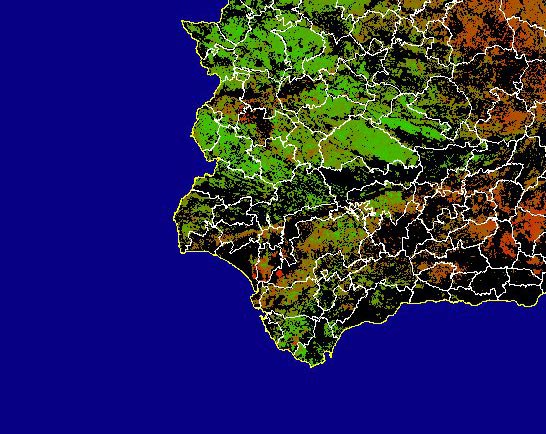 Imagen de NDVI medio secano: Índices de vegetación medios del mes para las zonas de cultivos de secano y pastizales - Suroeste