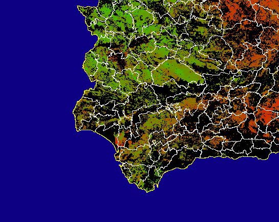 Imagen de NDVI medio secano: Índices de vegetación medios del mes para las zonas de cultivos de secano y pastizales - Suroeste