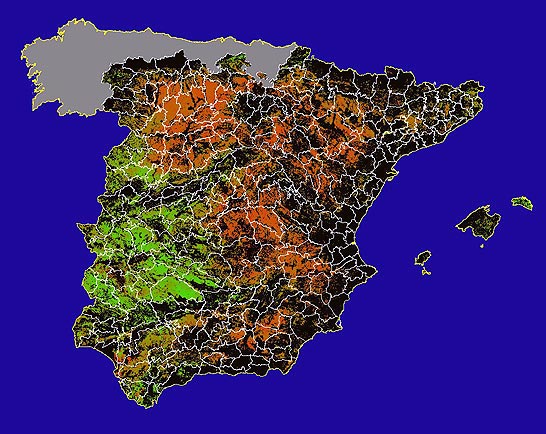 Imagen de NDVI medio secano: Índices de vegetación medios del mes para las zonas de cultivos de secano y pastizales