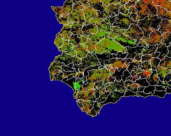 Imagen de NDVI medio secano: Índices de vegetación medios del mes para las zonas de cultivos de secano y pastizales - Suroeste