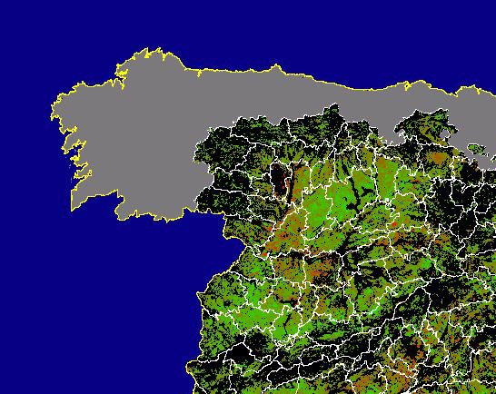 Imagen de NDVI medio secano: Índices de vegetación medios del mes para las zonas de cultivos de secano y pastizales