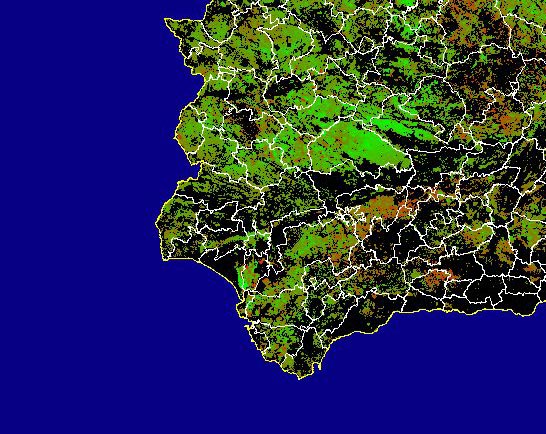 Imagen de NDVI medio secano: Índices de vegetación medios del mes para las zonas de cultivos de secano y pastizales