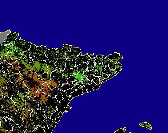 Imagen de NDVI medio secano: Índices de vegetación medios del mes para las zonas de cultivos de secano y pastizales