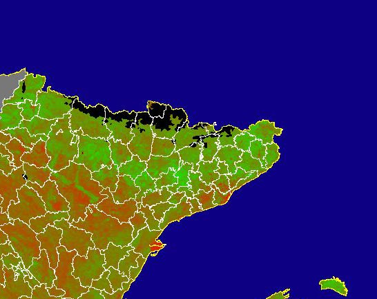 Imagen de NDVI medio mensual: Índices de vegetación medios del mes - Noreste