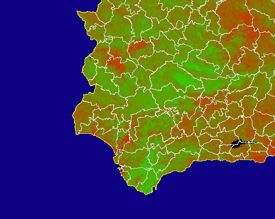 Imagen de NDVI medio mensual: Índices de vegetación medios del mes - Suroeste