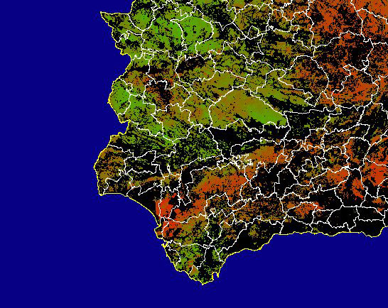 Imagen de NDVI medio secano: Índices de vegetación medios del mes para las zonas de cultivos de secano y pastizales - Suroeste