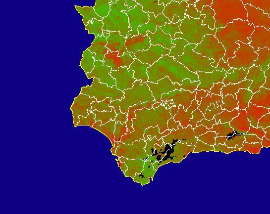 Imagen de NDVI medio mensual: Índices de vegetación medios del mes - Suroeste