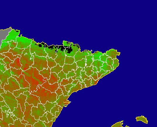 Imagen de NDVI medio mensual: Índices de vegetación medios del mes