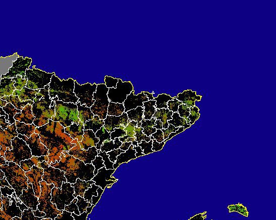 Imagen de NDVI medio secano: Índices de vegetación medios del mes para las zonas de cultivos de secano y pastizales - Noreste