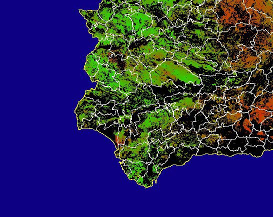 Imagen de NDVI medio secano: Índices de vegetación medios del mes para las zonas de cultivos de secano y pastizales - Suroeste