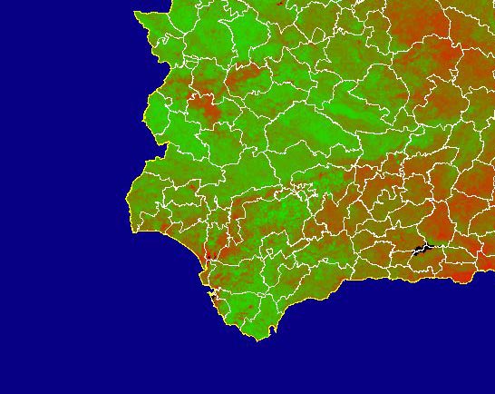 Imagen de NDVI medio mensual: Índices de vegetación medios del mes - Suroeste