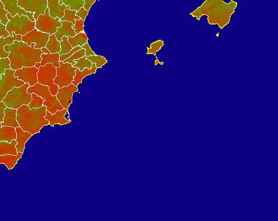 Imagen del NDVI medio mensual: Índices de vegetación medios del mes