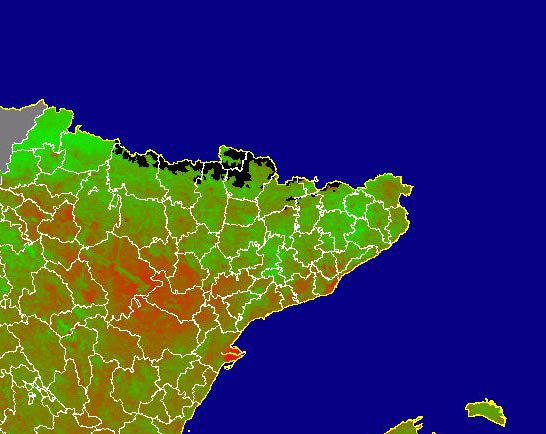 Imagen del NDVI medio mensual: Índices de vegetación medios del mes