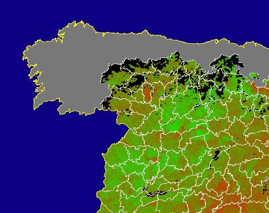 Imagen del NDVI medio mensual: Índices de vegetación medios del mes