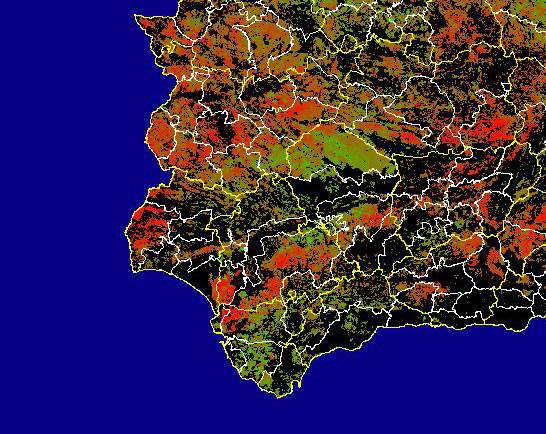 Imagen de Diferencias NDVI: Comparativa entre los índices de vegetación del mes de Enero del año actual y los de la media histórica - Suroeste