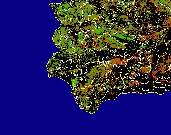 Imagen de Diferencias NDVI: Comparativa entre los índices de vegetación del mes de Enero del año actual y los de la media histórica - Suroeste