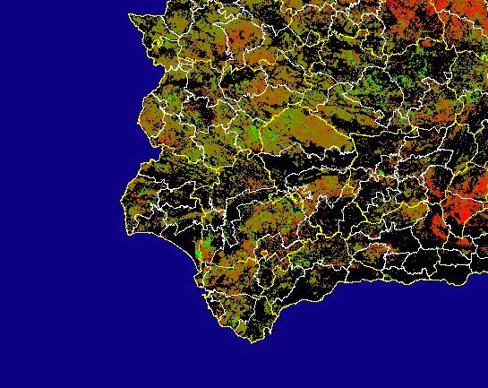 Imagen de Diferencias NDVI: Comparativa entre los índices de vegetación del mes de Enero del año actual y los de la media histórica - Suroeste