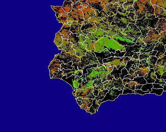 Imagen de Diferencias NDVI: Comparativa entre los índices de vegetación del mes de Enero del año actual y los de la media histórica - Suroeste