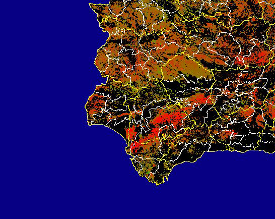 Imagen de las Diferencias acumuladas NDVI: Comparativa entre los índices de vegetación acumulados de enero a mayo (a junio en el mes de julio) del año actual y los de la media histórica