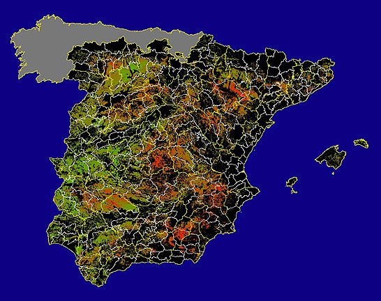 Imagen de las Diferencias acumuladas NDVI: Comparativa entre los índices de vegetación acumulados de enero a mayo (a junio en el mes de julio) del año actual y los de la media histórica