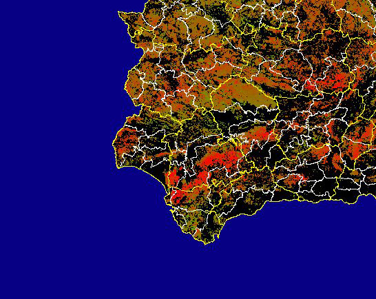 Imagen de Diferencias acumuladas NDVI: Comparativa entre los índices de vegetación acumulados de enero a mayo del año actual y los de la media histórica