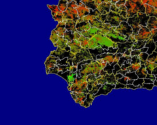 Imagen de Diferencias acumuladas NDVI: Comparativa entre los índices de vegetación acumulados de enero a mayo del año actual y los de la media histórica