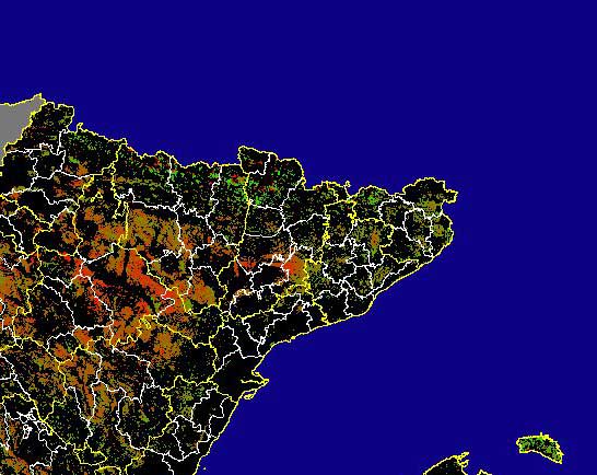 Imagen de Diferencias NDVI: Comparativa entre los índices de vegetación del mes de Enero del año actual y los de la media histórica - Noreste