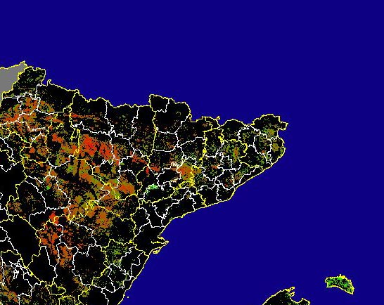 Imagen de Diferencias NDVI: Comparativa entre los índices de vegetación del mes de Enero del año actual y los de la media histórica - Noreste