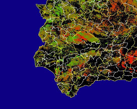 Imagen de Diferencias NDVI: Comparativa entre los índices de vegetación del mes de Febrero del año actual y los de la media histórica - Suroeste