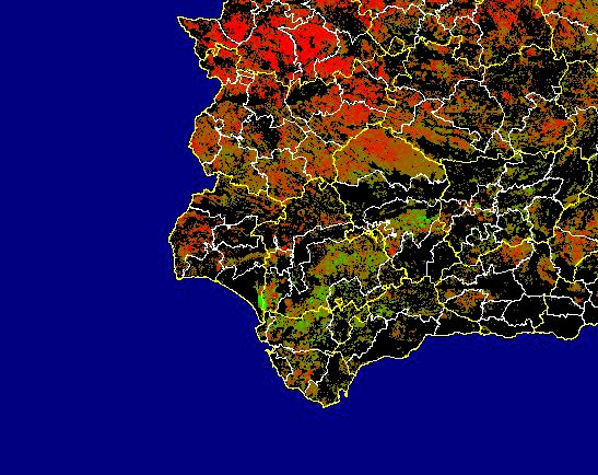 Imagen de Diferencias NDVI: Comparativa entre los índices de vegetación del mes de Mayo del año actual y los de la media histórica