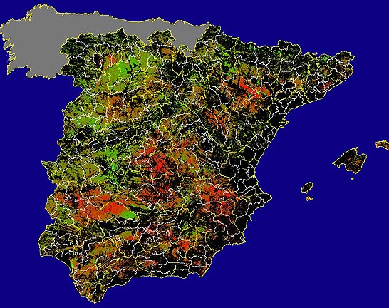 Imagen de las Diferencias NDVI: Comparativa entre los índices de vegetación del mes de Mayo del año actual y los de la media histórica