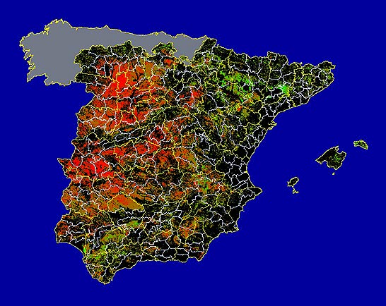 Imagen de las Diferencias NDVI: Comparativa entre los índices de vegetación del mes de Mayo del año actual y los de la media histórica