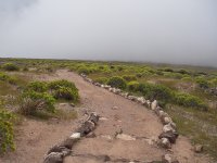 Aspecto del camino por los llanos de la Merica