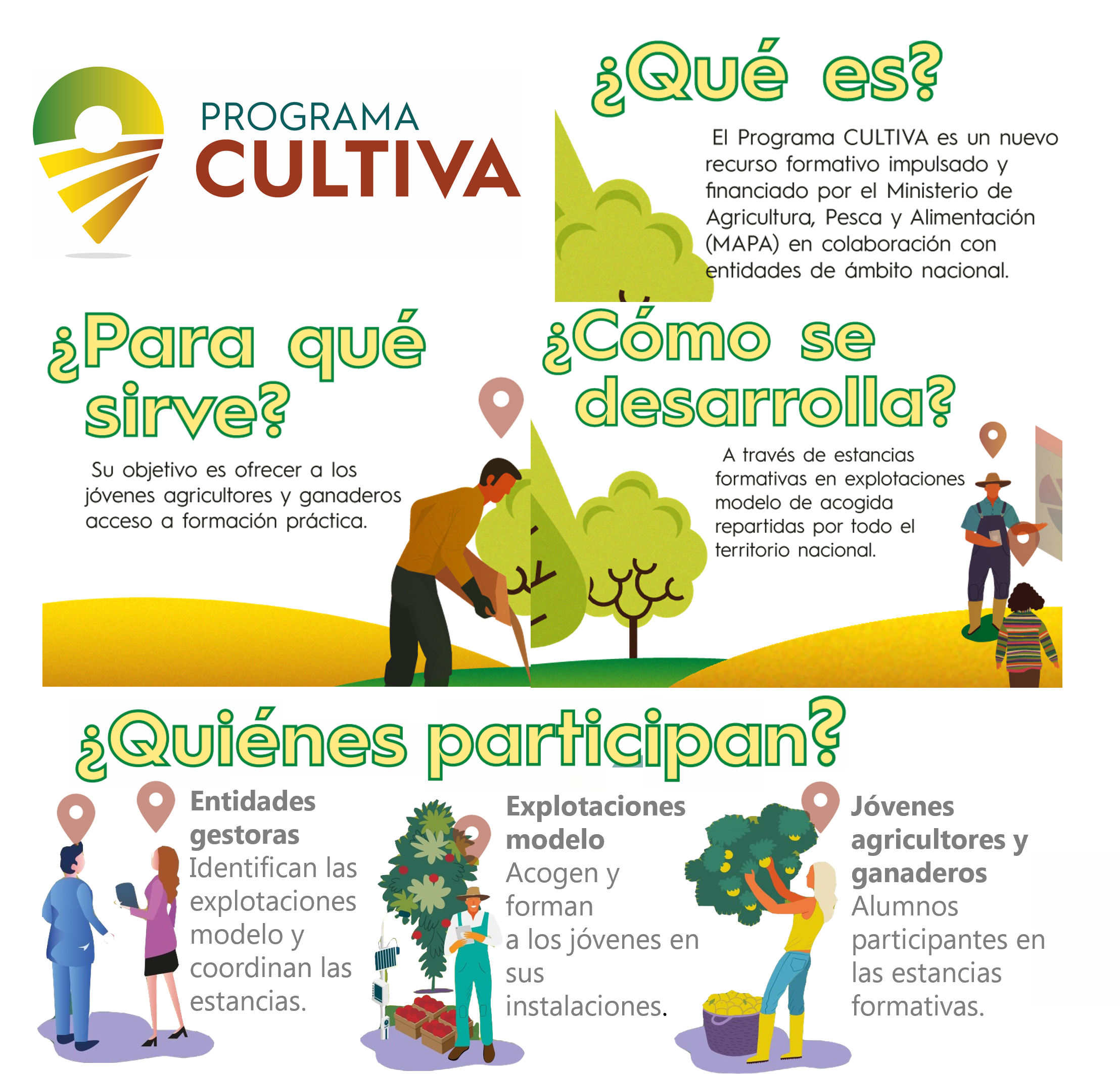 Logo del Programa CULTIVA (Programa de estancias formativas de jóvenes agricultores en explotaciones modelo) y explicación de la iniciativa. 