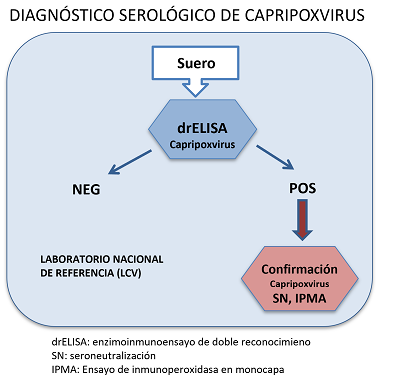 Diagnóstico serológico