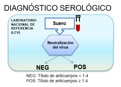 Diagnóstico serológico