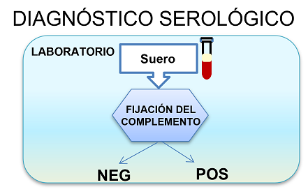 diagnóstico serológico