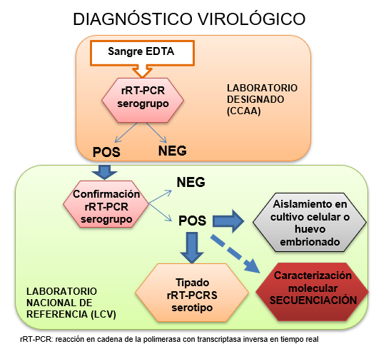 Diagnóstico virológico