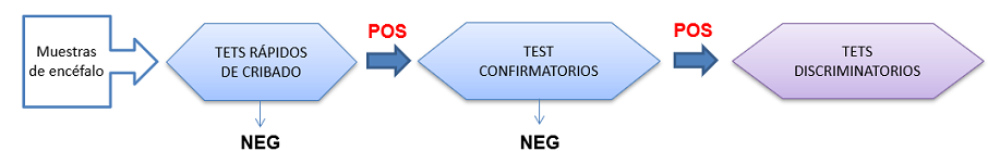 Esquema de diagnóstico EEB