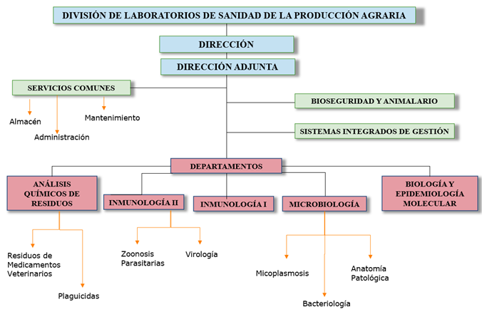 organigrama LCSA