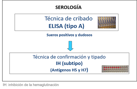 Diagnóstico serológico