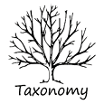 Taxonomy